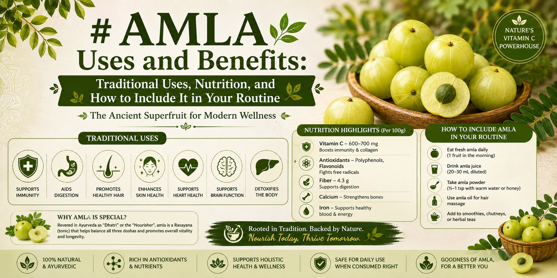 Amla Uses and Benefits: Traditional Uses, Nutrition, and How to Include It in Your Routine