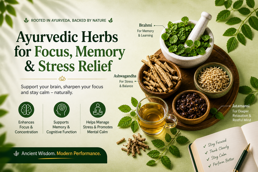 Ayurvedic herbs for focus memory and stress relief