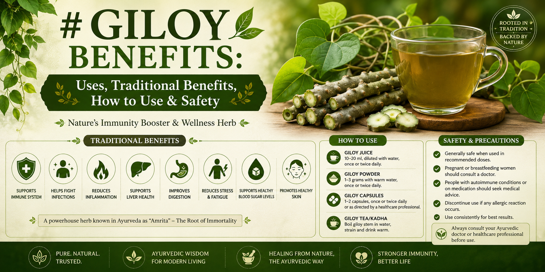 Giloy Benefits: Uses, Traditional Benefits, How to Use & Safety