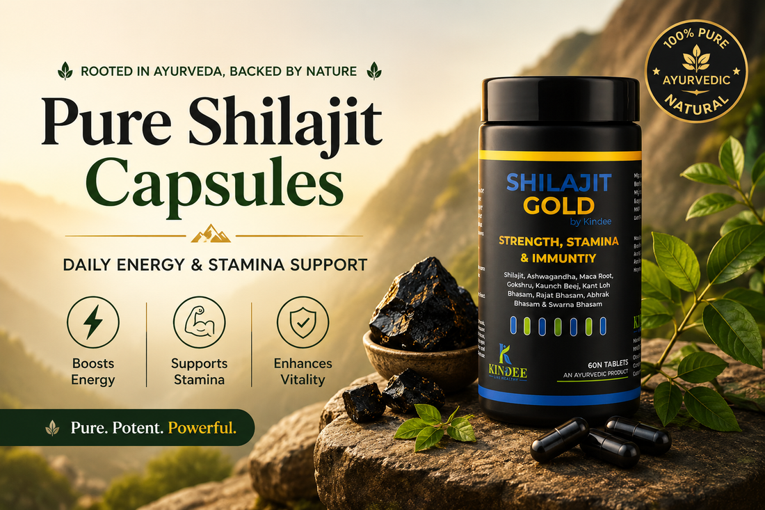Pure shilajit capsules for daily energy and stamina support